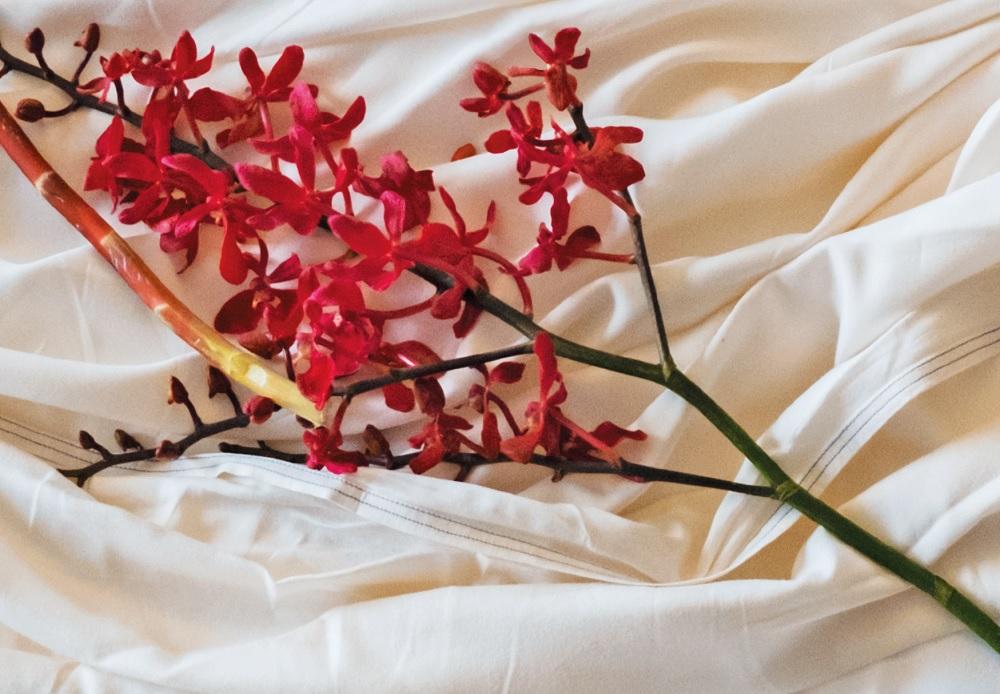 ananリアルレポート｜セックスは愛情表現のひとつ。何よりも大切なのは思いやり