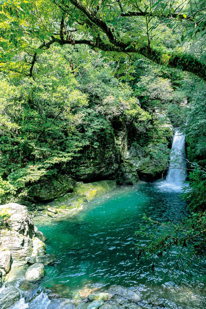 川と海の恵みを堪能！ 高知の「水を巡る旅」で美しい青に触れ、味わい、整う