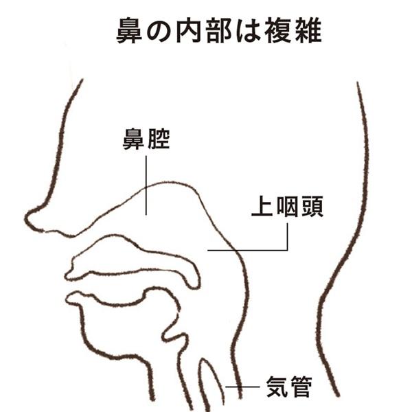 優秀なフィルター機能を守ろう！ 免疫機能を維持するために試したい“鼻ケア”
