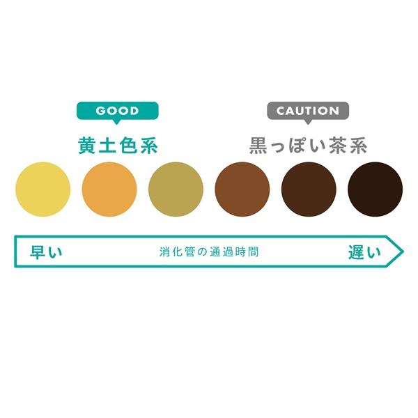 体調やストレスの状態を教えてくれるバロメーター！ ウンチの色とにおいをチェック