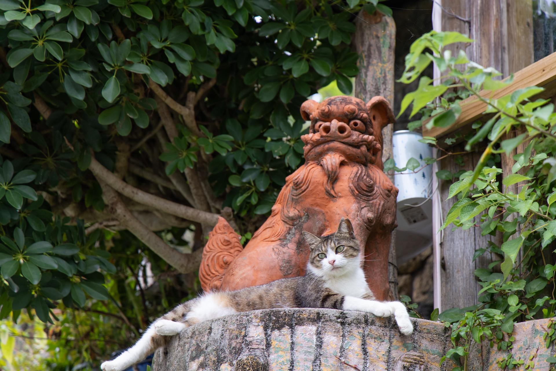 もっと沖縄が好きになる！ 「OMO5沖縄那覇」に泊まって楽しむ、おさんぽ的那覇旅行