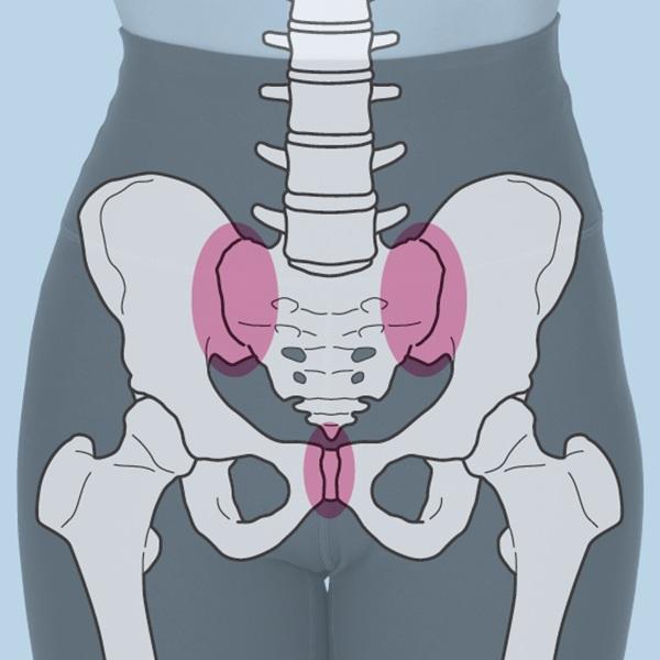 【骨トレ】骨盤を正しい位置に戻せば姿勢も整う！ くびれラインの崩れをなおすメソッド