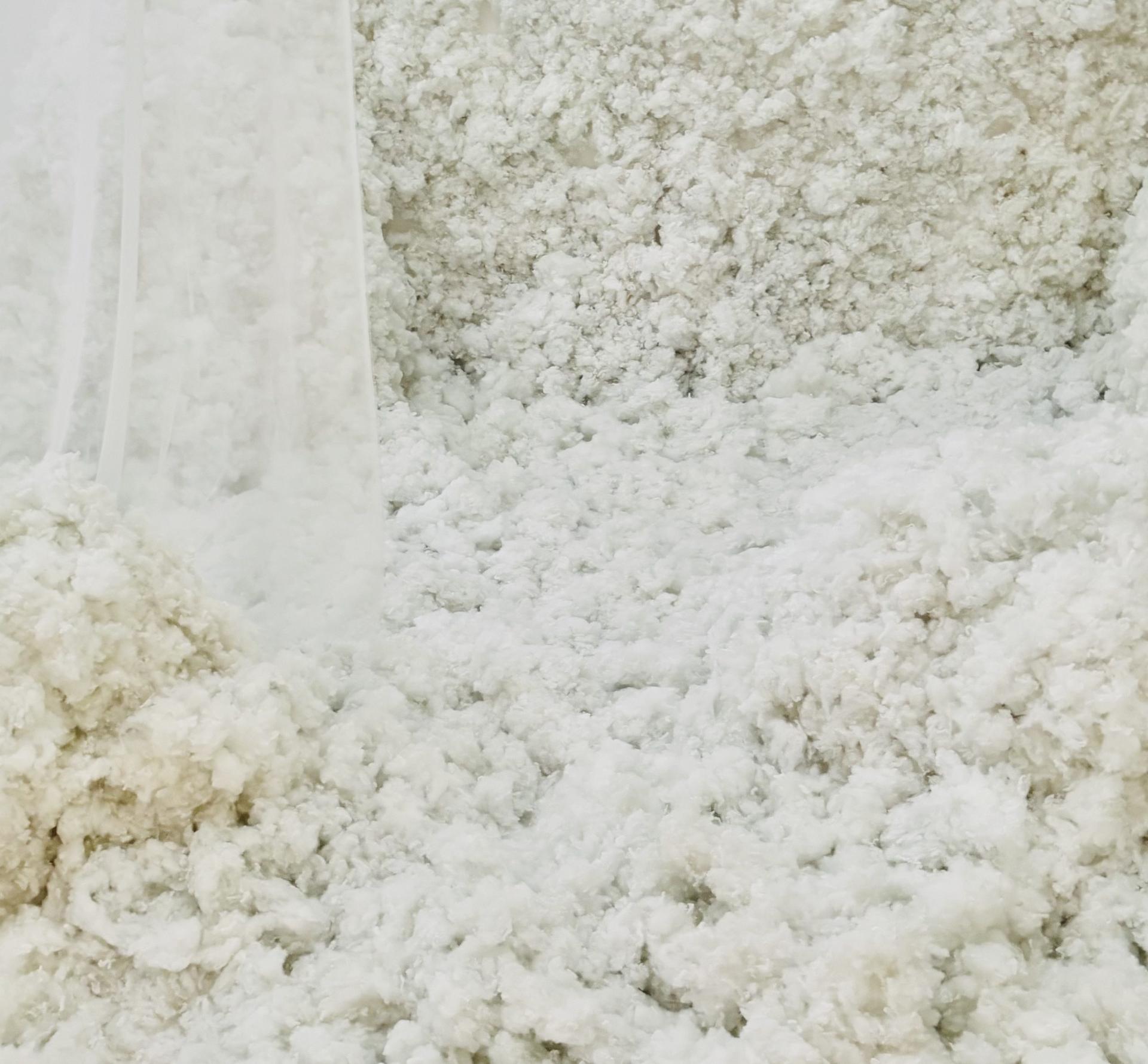 【COVER STORY】物腰はやわらかいのに、しっかりとした芯が通ってる。松島聡さんの無限の魅力が全開！