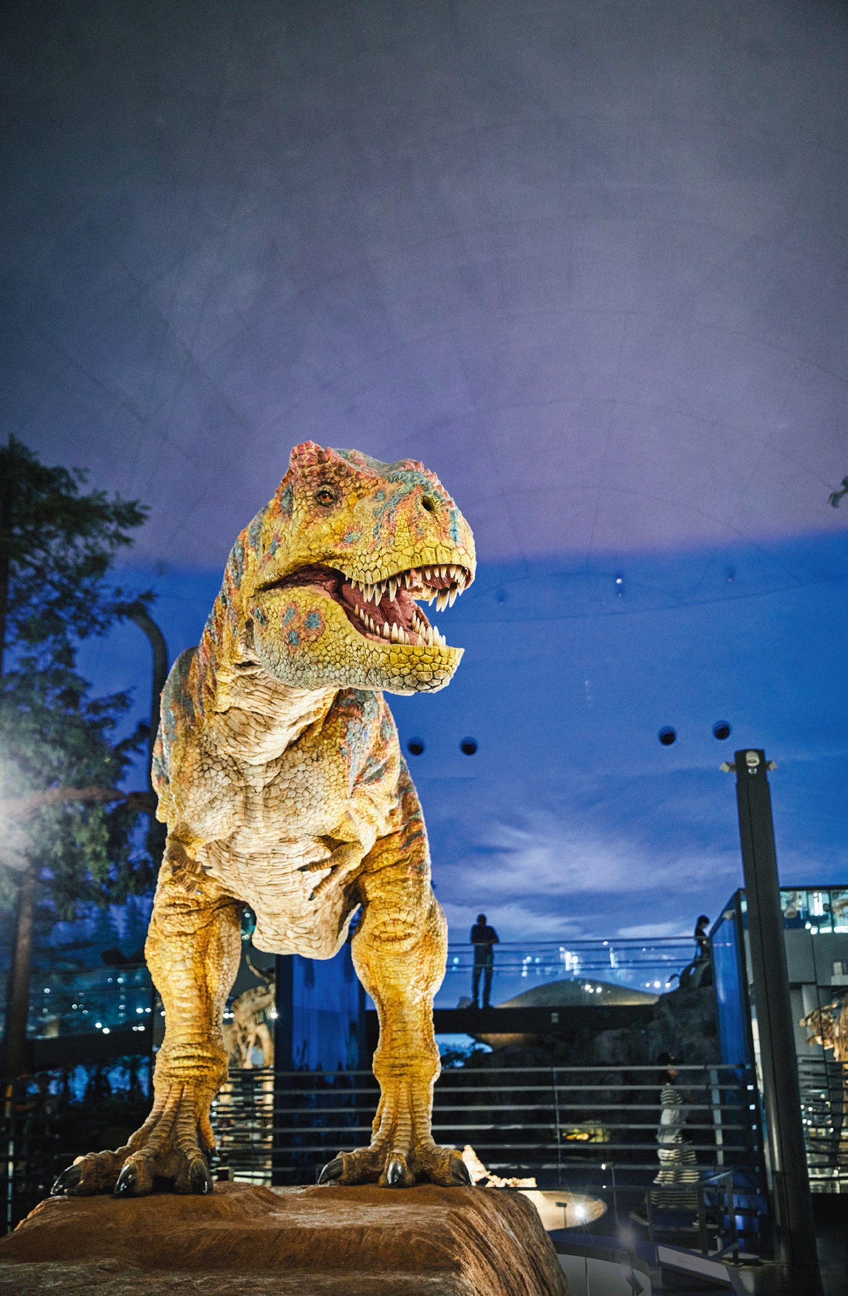 【秋を満喫する国内旅・福井】大人の遠足気分で恐竜と日本酒を満喫！