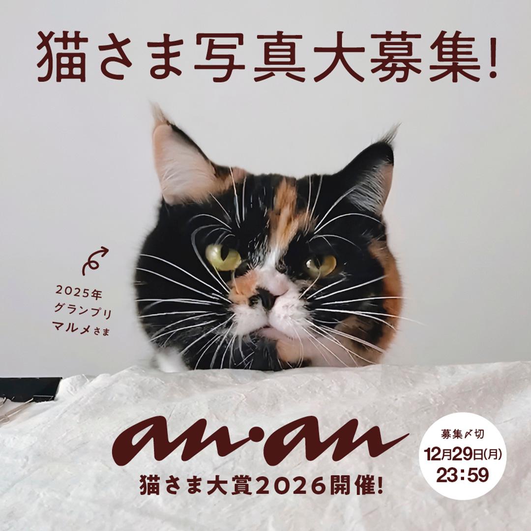皆さんのにゃんこ写真を待っています！ anan「にゃんこLOVEムック・猫さま大賞2026」大募集