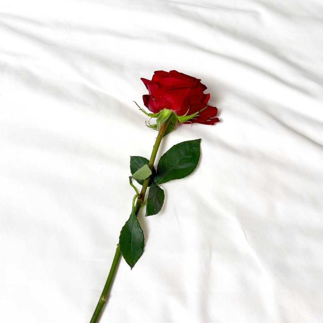 【COVER STORY】なにわ男子・藤原丈一郎さんが約2年半ぶりにソロ表紙に！ 等身大の無邪気さとオトナの色気を纏った“30歳の現在地”を表現