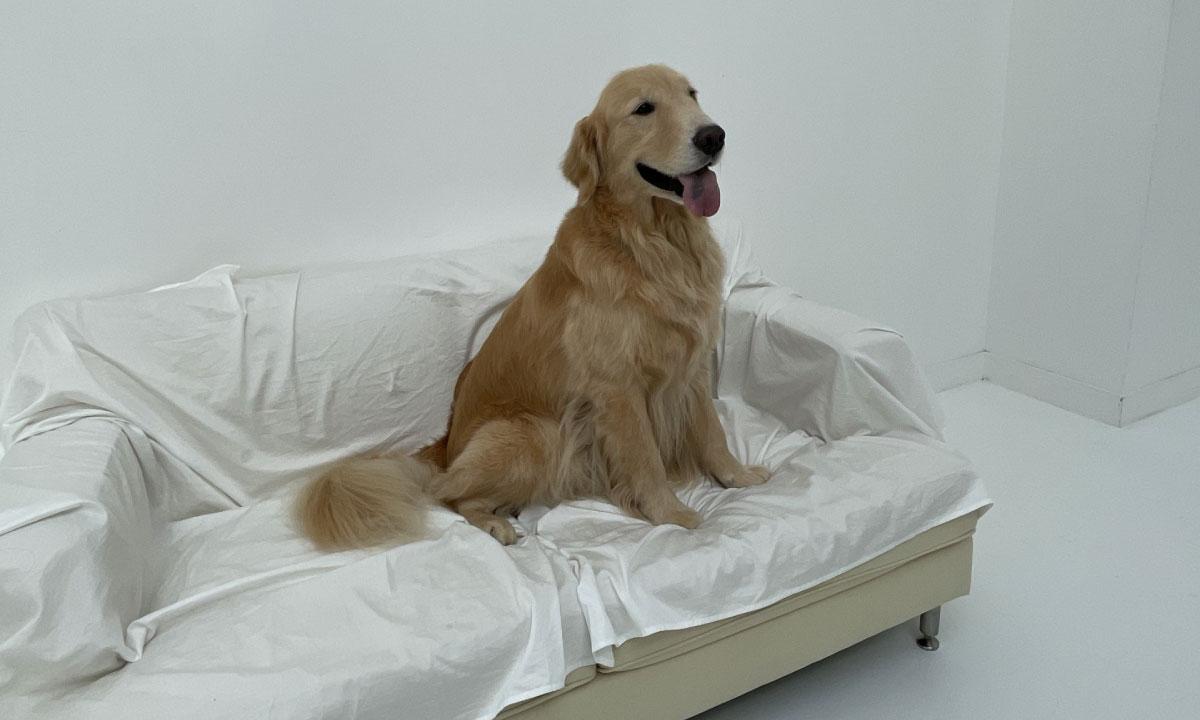 【From Editors】Aぇ! group連載「Aぇ! 男たち」第6回は佐野晶哉さん。本格的なカメラによるワンちゃん撮影で、芸術力を発揮！