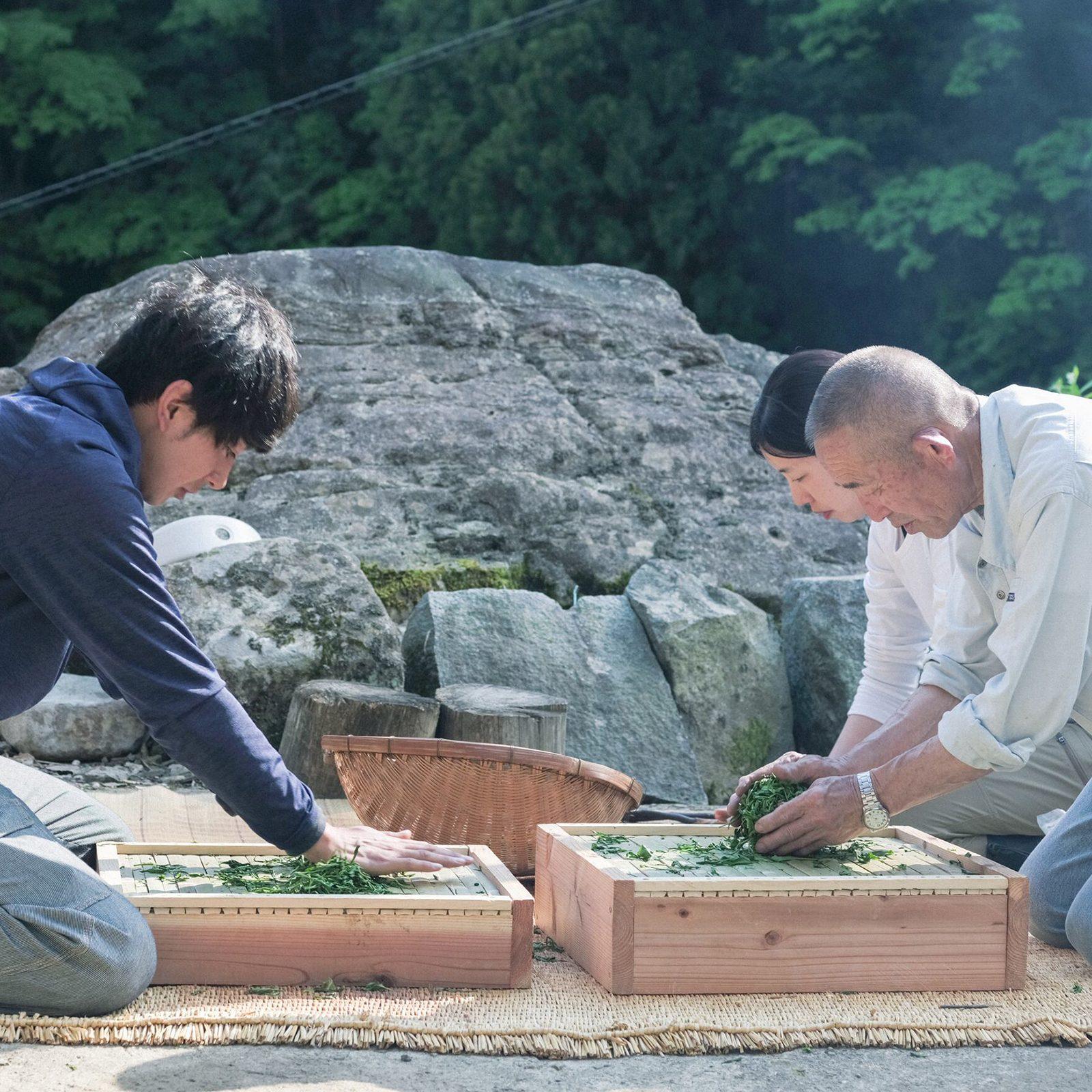 いま、飲むべき「日本のお茶最前線」をプロ3人が語り尽くす！