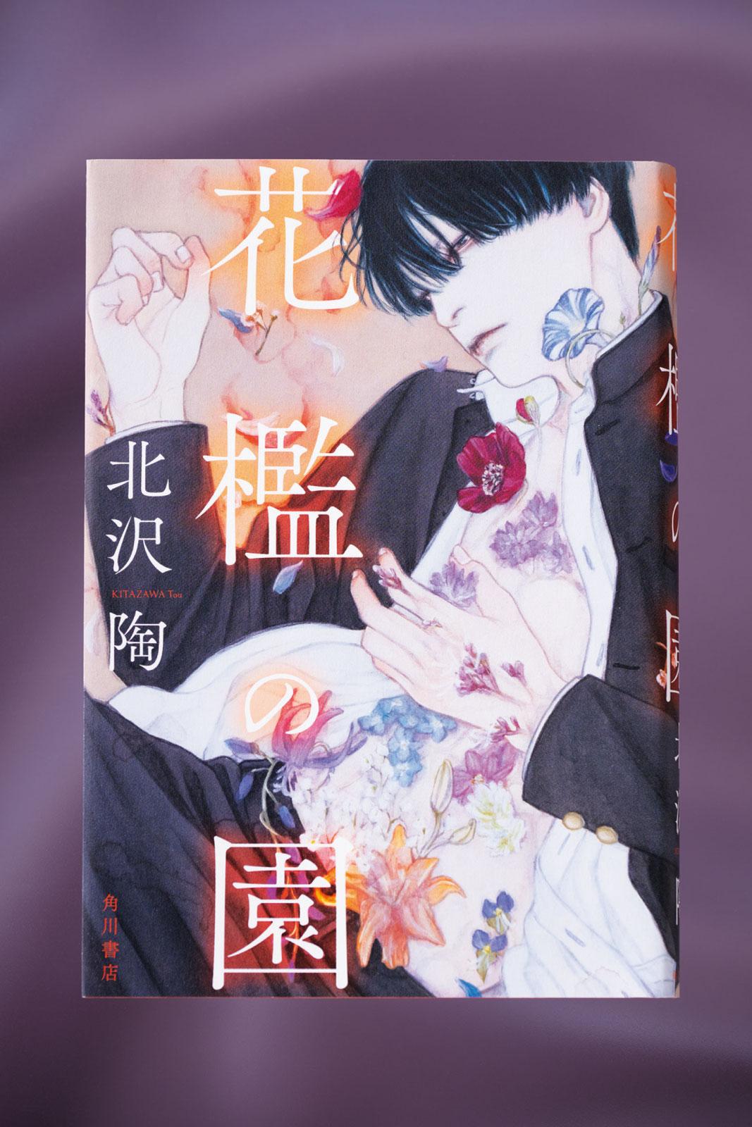 廃遊園地でかけられた耽美な異変に少年バディが挑む、ゴシックホラー。小説『花檻の園』