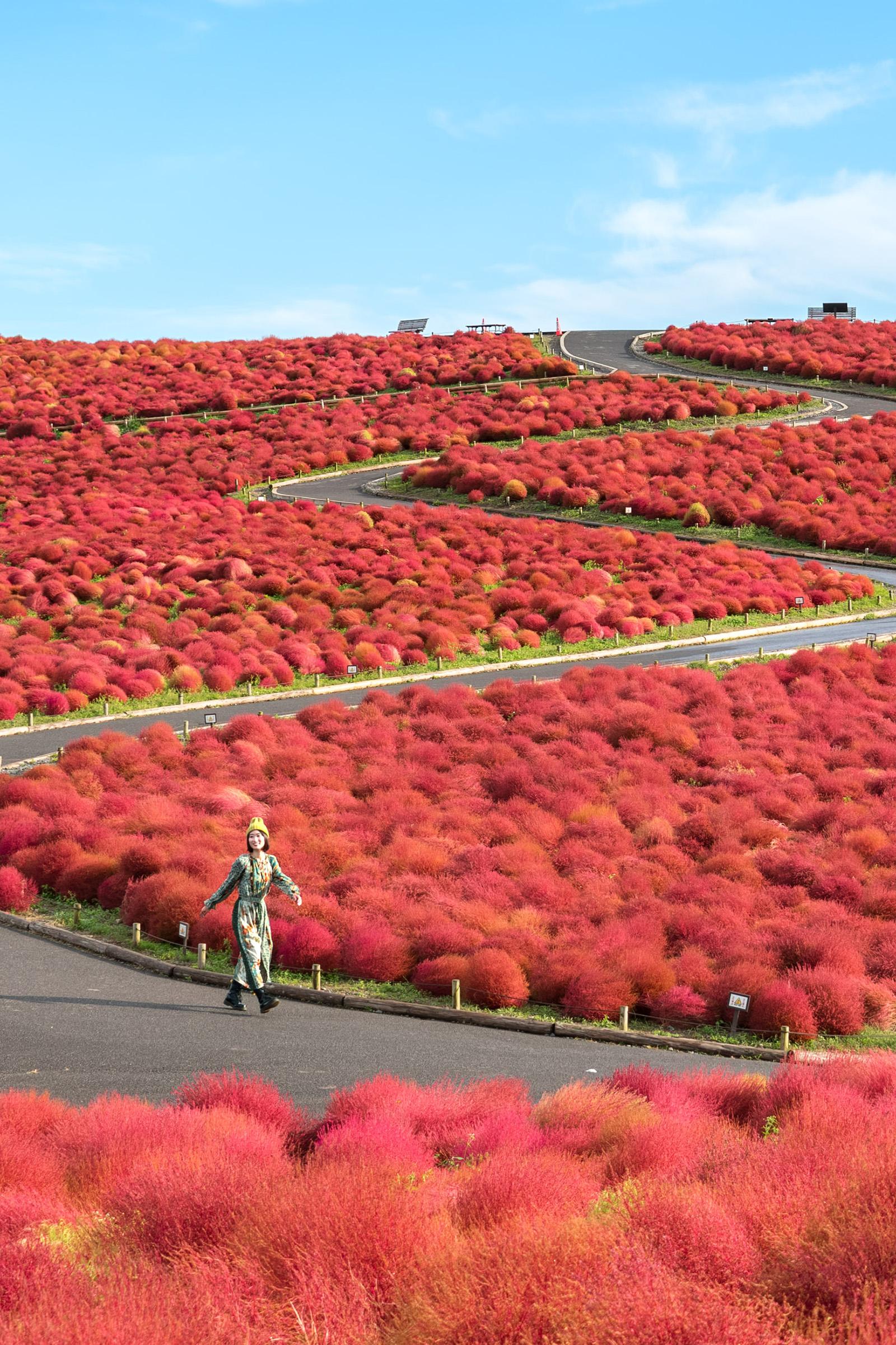 ひとり旅こそ絶景へ行くべき理由。 詩歩さんが教える、旅の心得と厳選7スポット