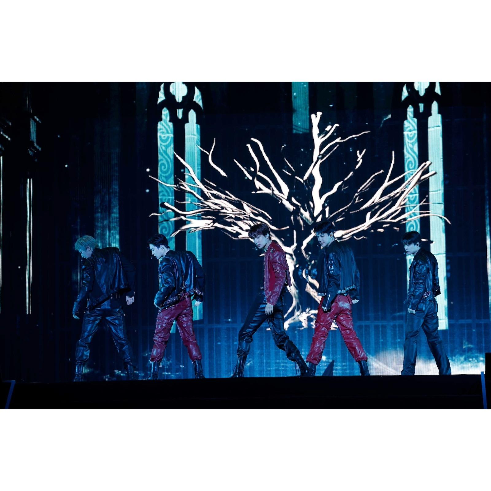 EXO、約6年ぶりの⽇本公演開催！ 14年間のキャリアが裏付けるパフォーマンスと未来へのしなやかな覚悟