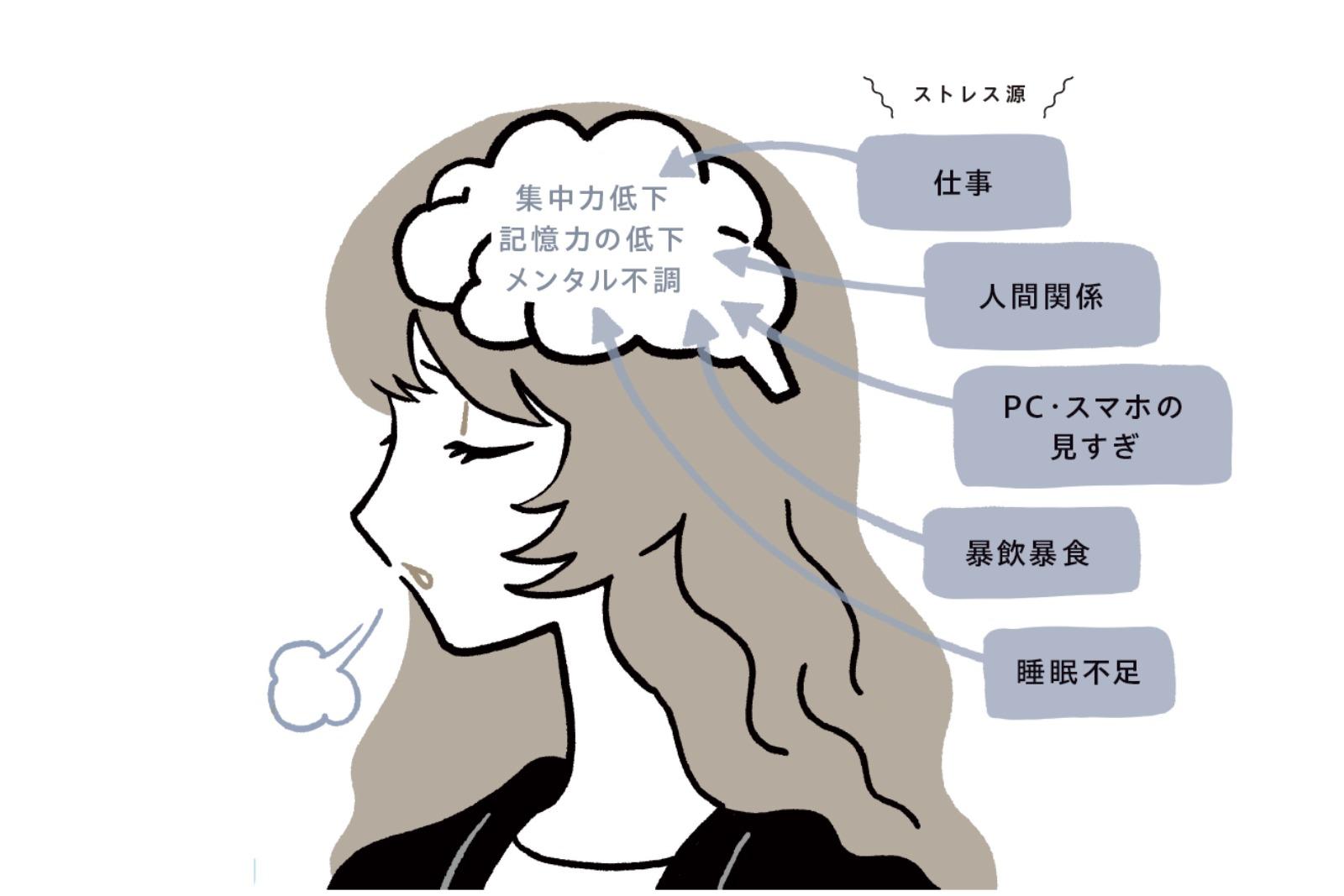 夏の脳疲労をリセット。集中力・記憶力が回復する脳活