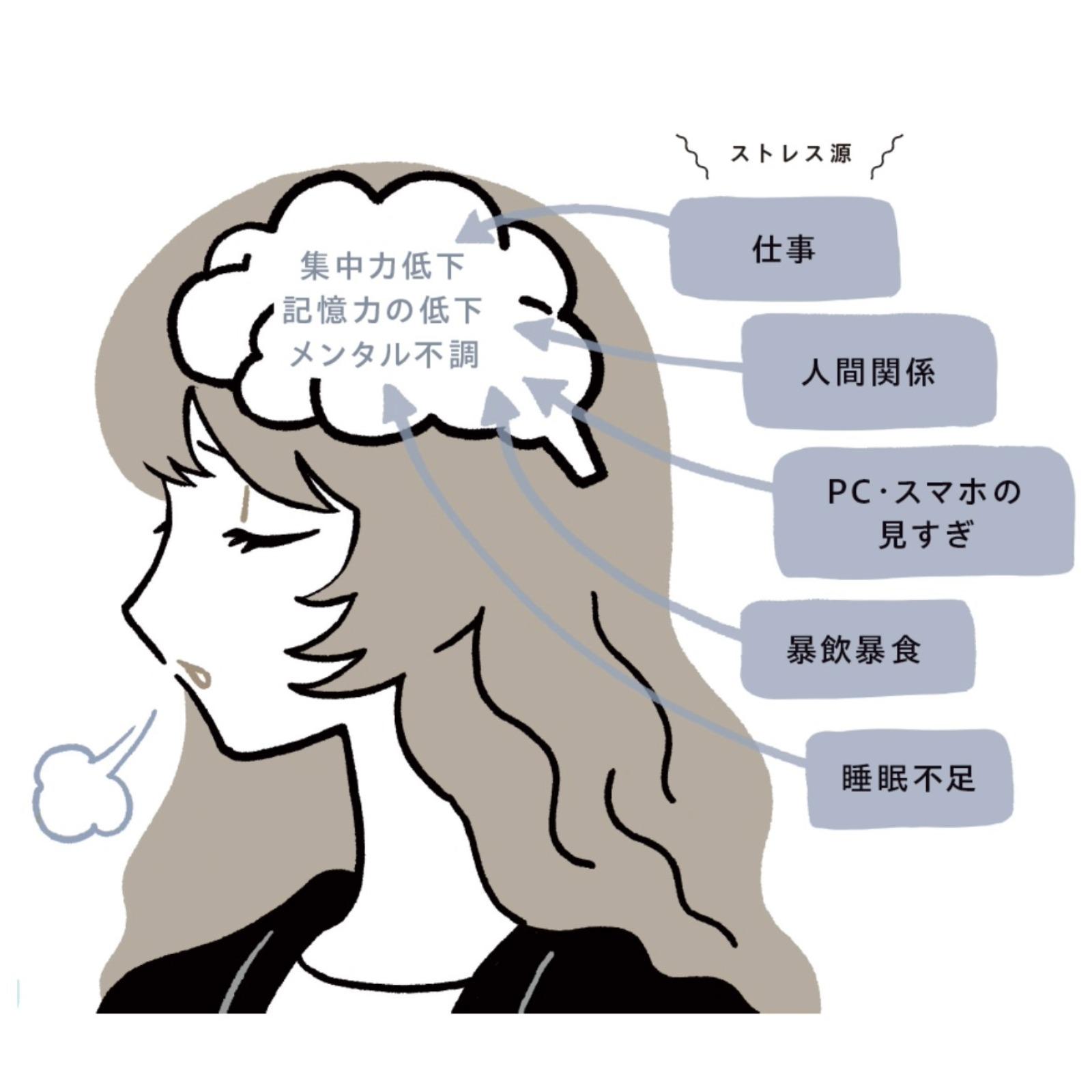 夏の脳疲労をリセット。集中力・記憶力が回復する脳活