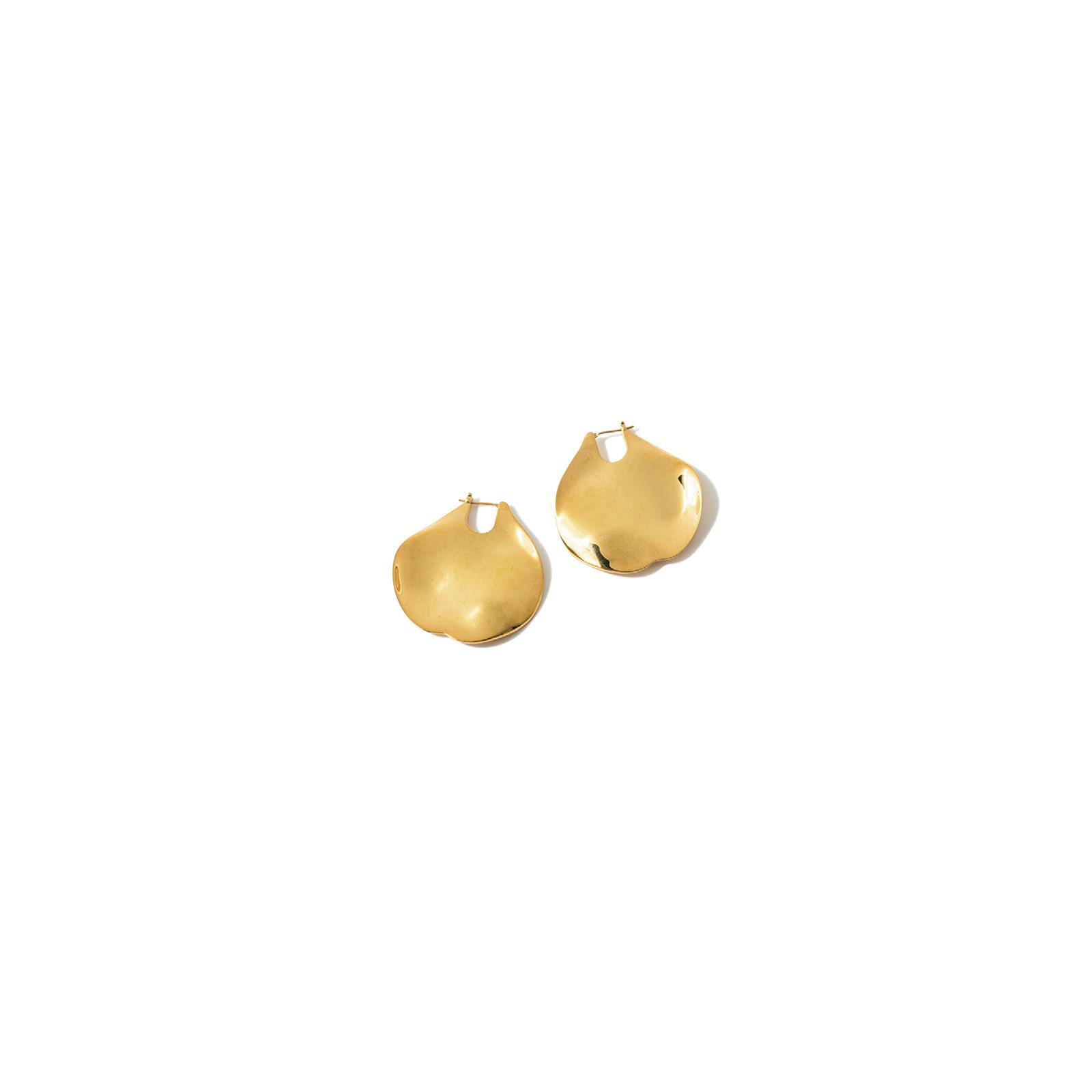 リュークのピアス