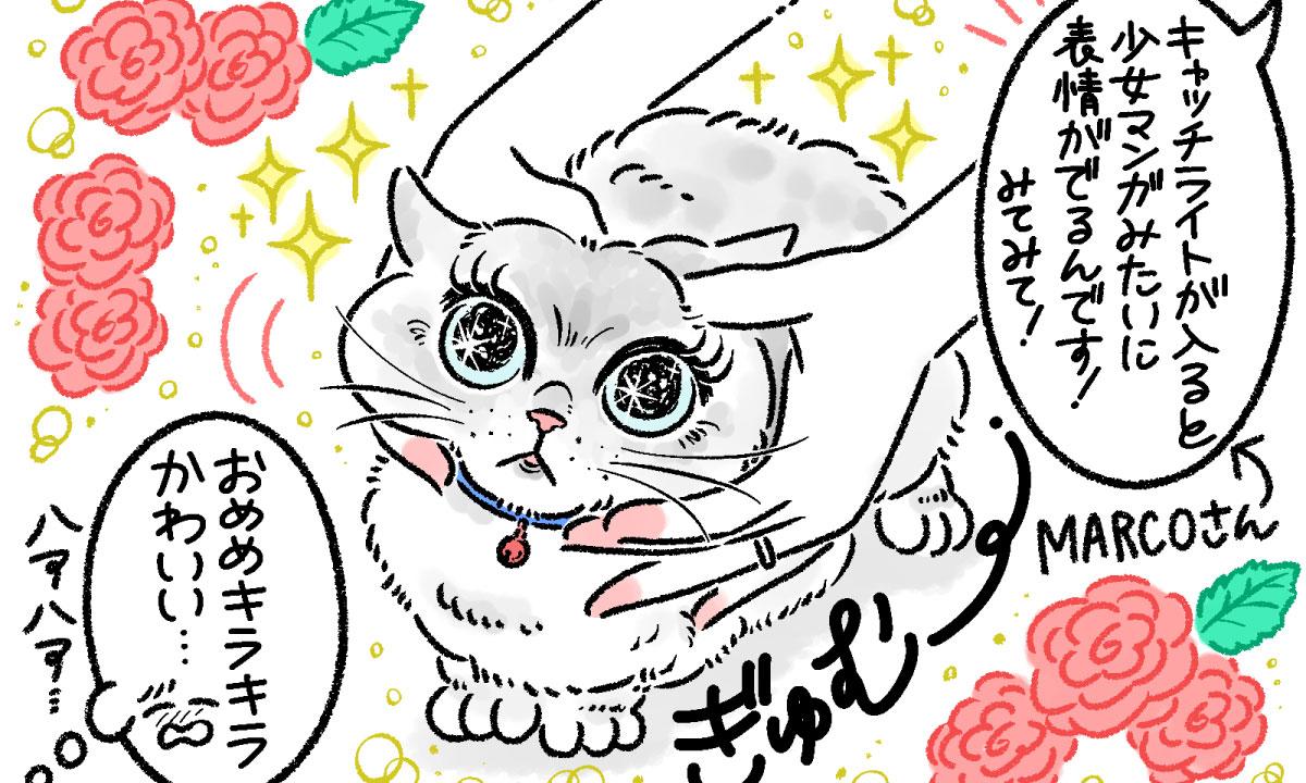 写真家・MARCOさんが伝授！ 愛猫をかわいく撮るスマホ撮影6つのコツ