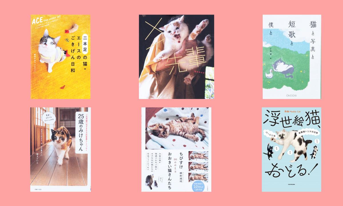 お手本いっぱい猫本の世界！ 専門書店『キャッツ ミャウ ブックス』店主が選ぶ猫写真集6冊