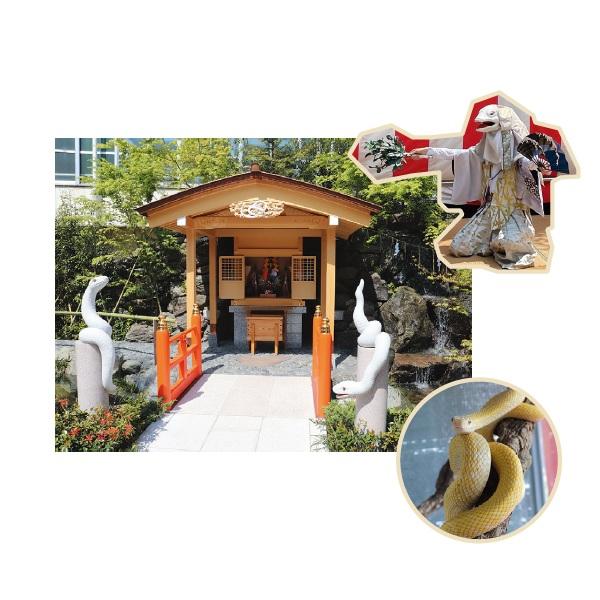 【巳年の開運行動】金運アップのご利益が!? 巳の日にするとよいこと、巳年に行くとよい場所は?