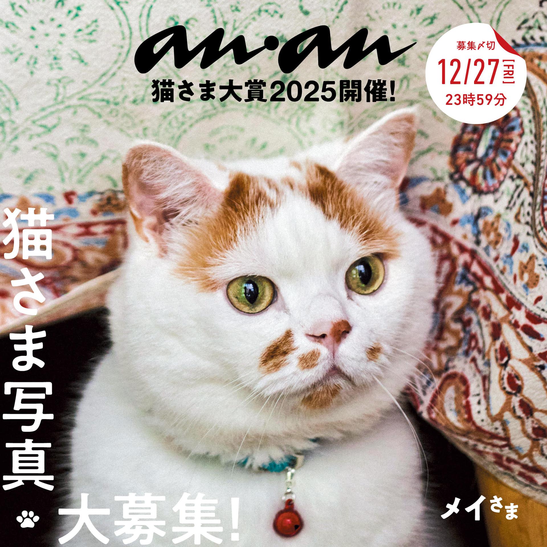 皆さんのにゃんこ写真を、ぜひ投稿ください! ananにゃんこLOVEムック・猫さま大賞募集!