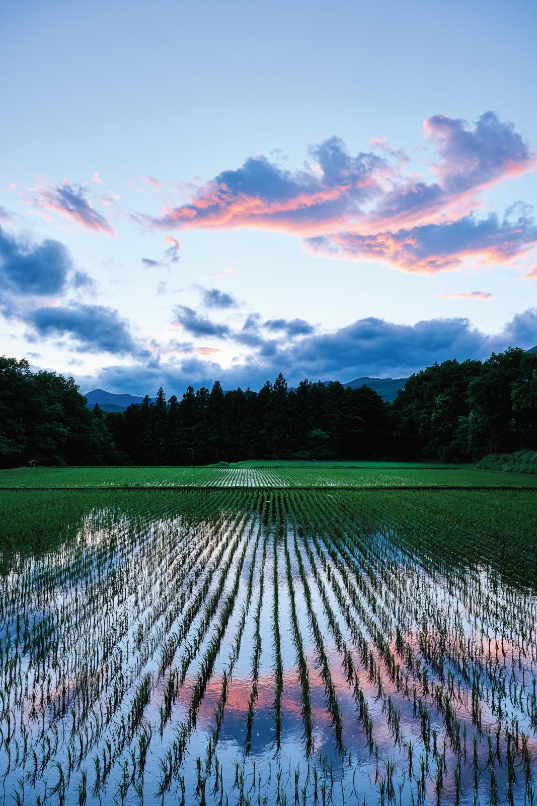 土に、生き物に、美食に触れる“林間学校”のような旅。栃木、那須「リゾナーレ那須」