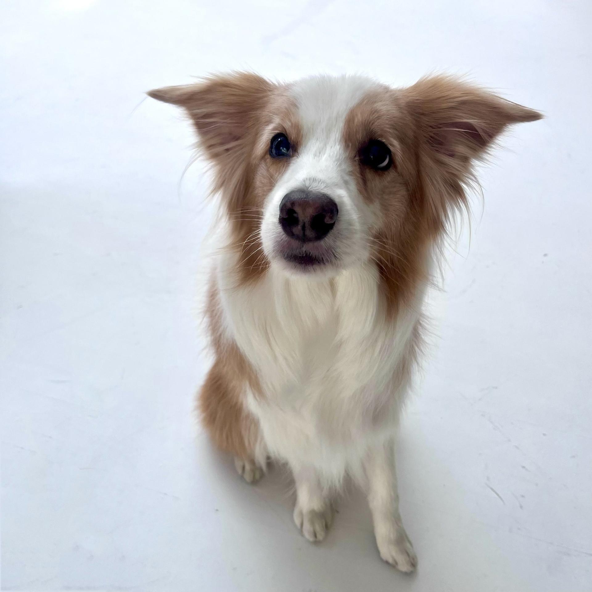 【From Editors】Aぇ! group連載「Aぇ! 男たち」第8回。意外なパステルファッション&気分屋ワンちゃんにも優しさMAXな正門良規さんの撮影裏話