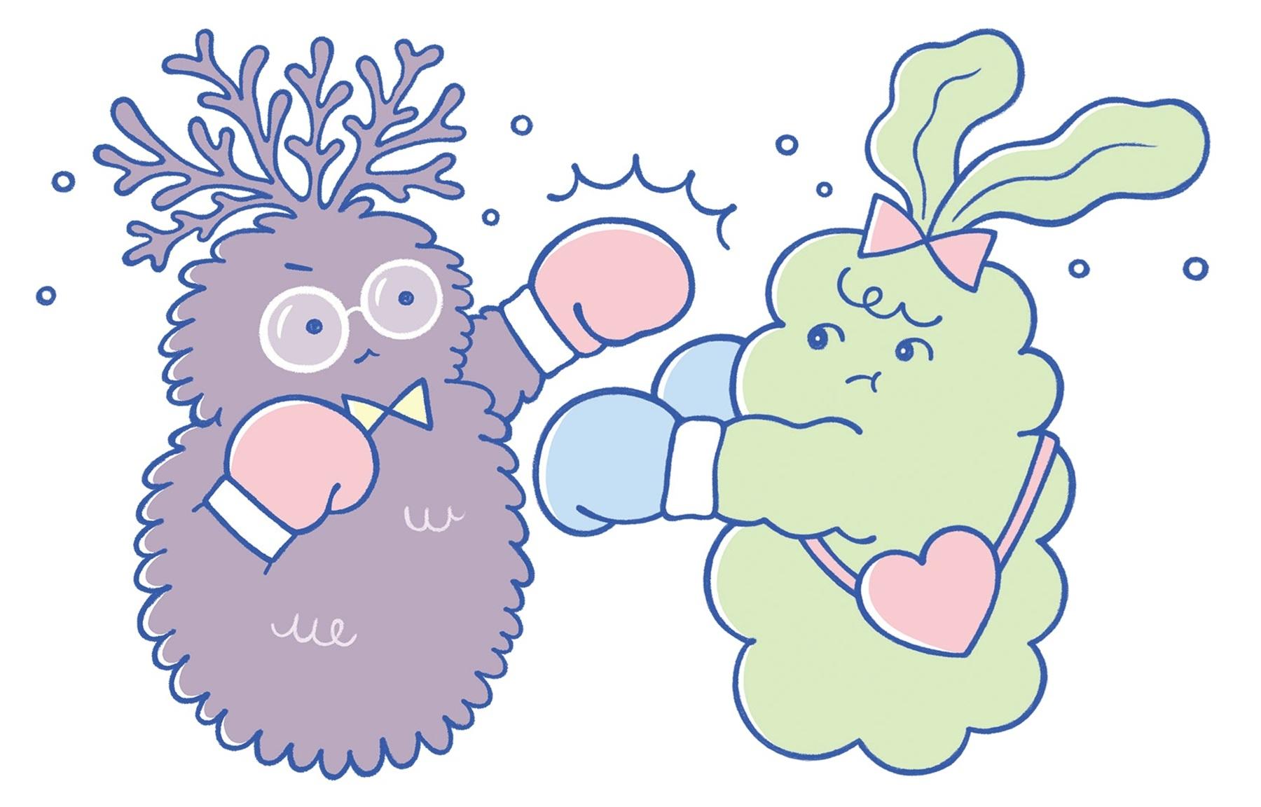 もずくvsめかぶ、腸活エリートたちの頂上決戦!? 両者の違いは…?