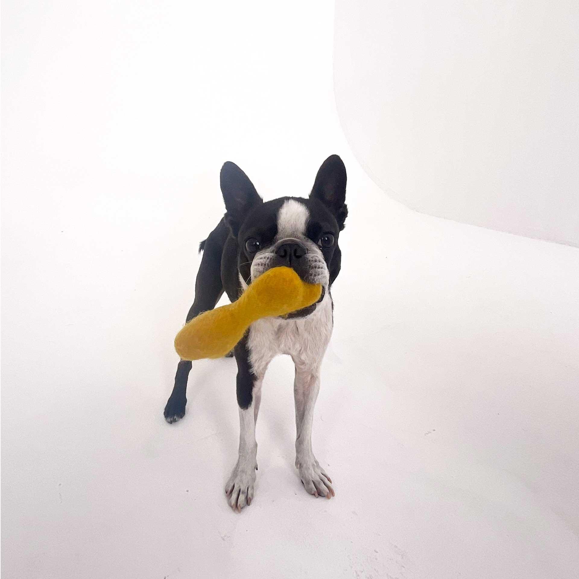 【From Editors】Aぇ! group連載「Aぇ! 男たち」第9回。小島健さんの“最強漢”な魅力を感じた撮影裏話