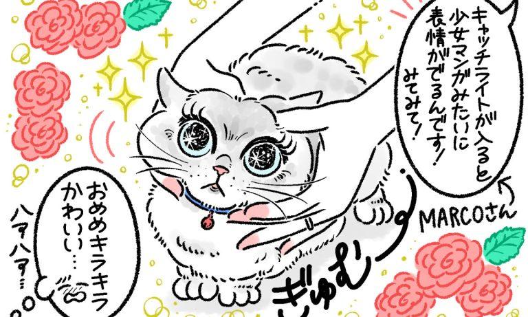 写真家・MARCOさんが伝授! 愛猫をかわいく撮るスマホ撮影6つのコツ
